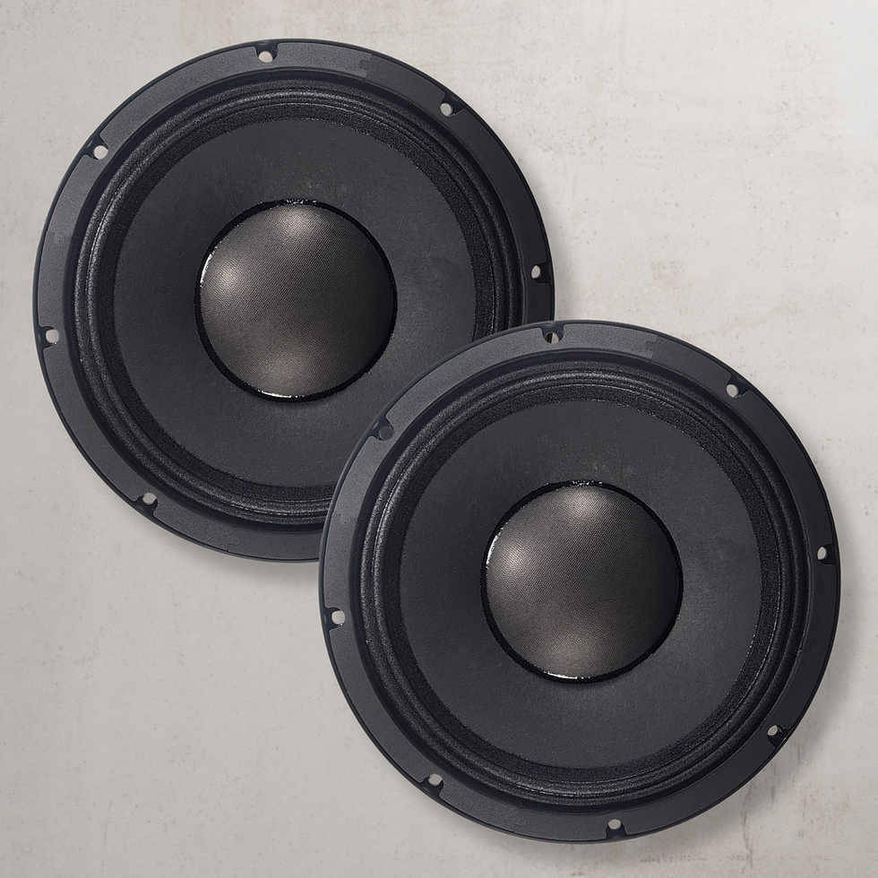 12 Inch Mid Bass Pair!