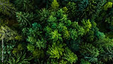 AdobeStock_490198597_Preview.jpeg