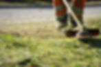 Brechin Property Weeding