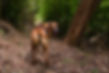 AdobeStock_291862108_Preview.jpeg