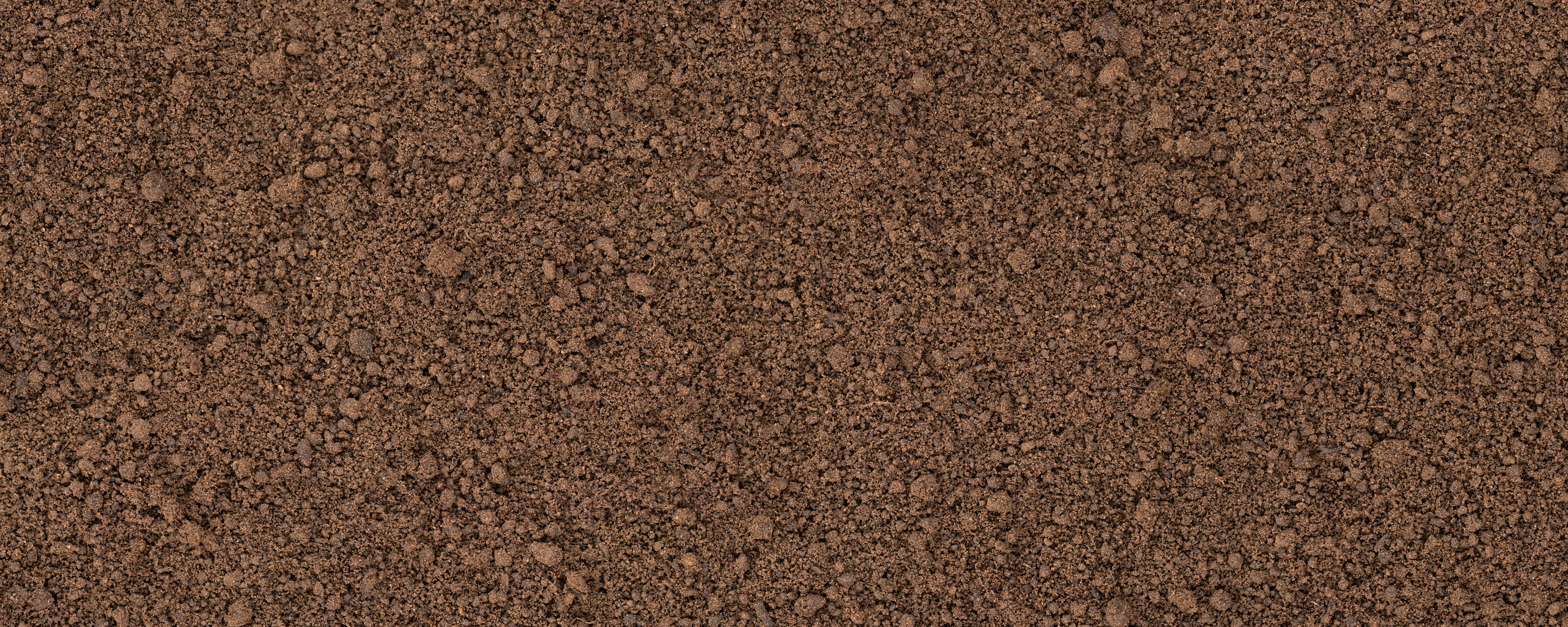 Screened Top Soil