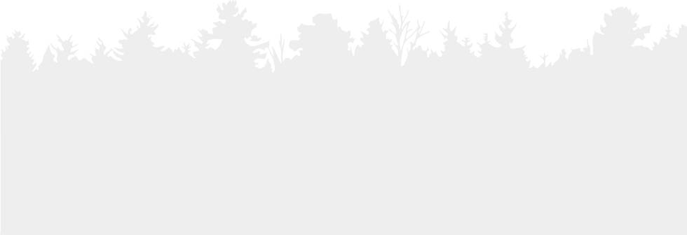 treeline-lakecountry.png