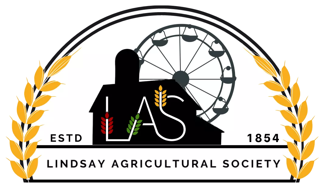 Writer: L.A.S 