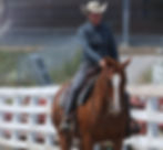 LEX Horsemen's Association