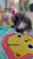 Thumbnail: Phina