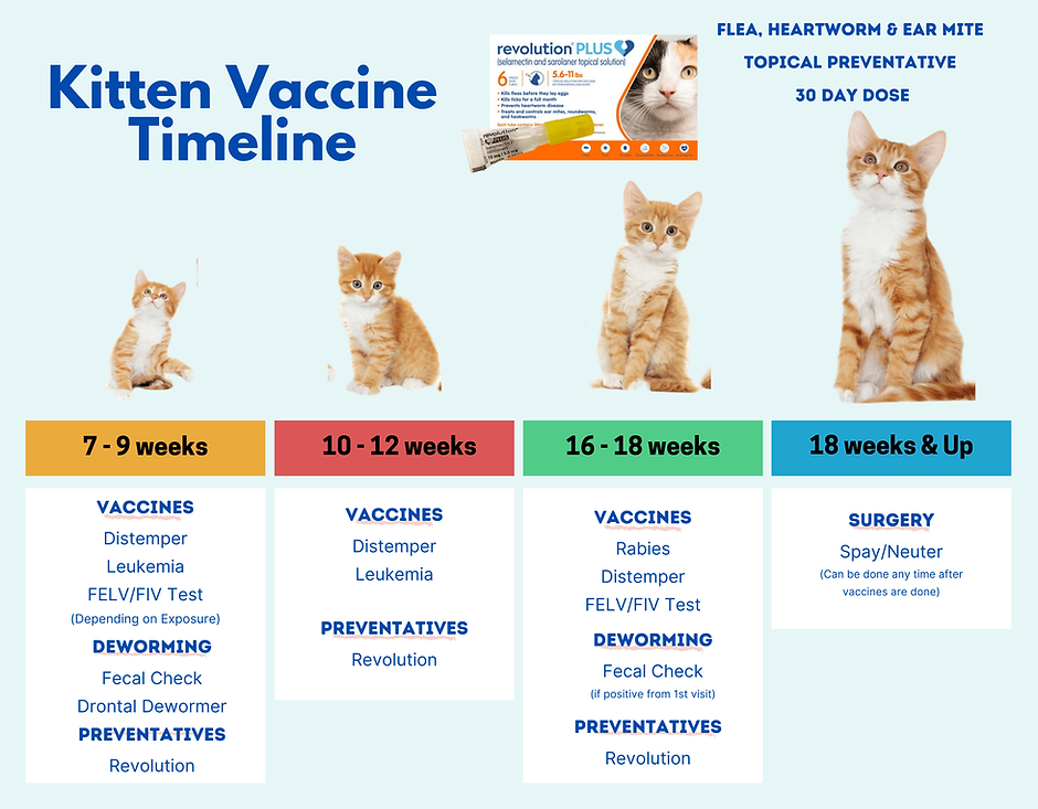 We fulfill all vaccines testing's recommended