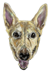 The Barkside Hand-drawn Logo