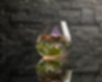 COCKTAIL BOTANICI
