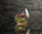 cocktailbotanico® 542