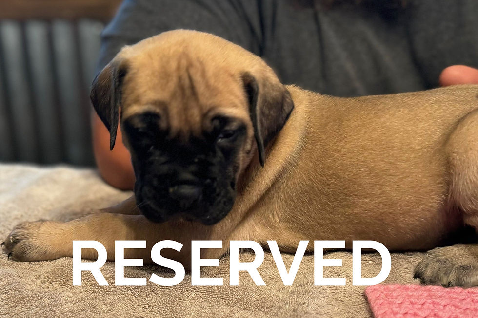 Hot Pink - Side_edited