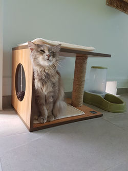 38985100_238136150172249_609370122306243