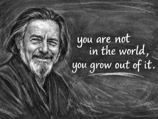 Alan Watts' Newsletter