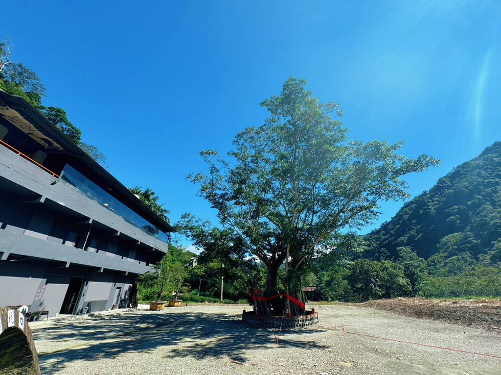 photo_2025-11-06_13-37-44