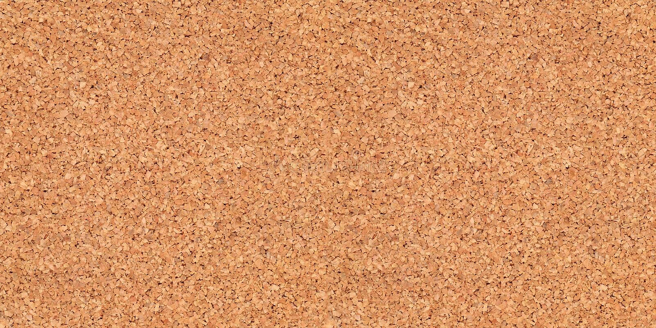 cork board.jpeg