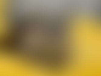 Cat Grooming in Atlanta: Why Cats Require a Completely Different Approach