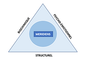 Kinésiologue Lyon - Lea Askani - LeaKinesiologie - stress - anxiété - burn out - depression