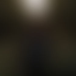 The Art of Foraging w. Sean in the Woods 