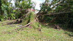 Cape Coral,Florida