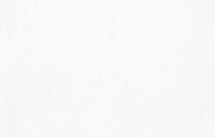 Mexicana 4.png