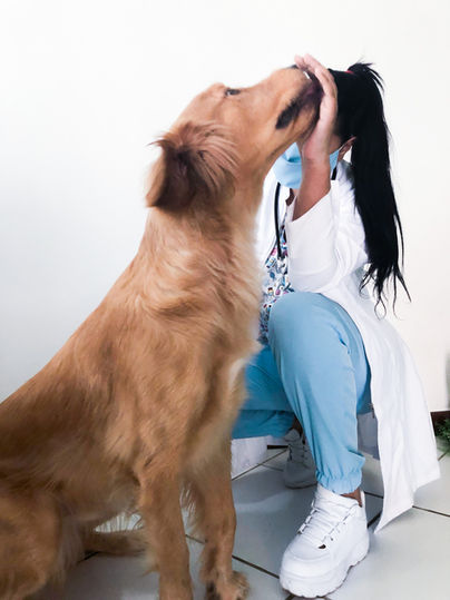 Consulta veterinária domiciliar com cachorro de porte médio, atendimento em Serra, ES