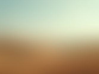 Understanding Risk Landscapes for Growing Businesses