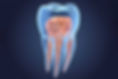 endodontia.jpg