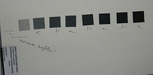 P1240404.JPG
