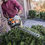 Thumbnail: Stihl HS 45 Petrol hedge trimmer - 450mm/18"