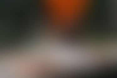 How to Choose the Right Chain for Your STIHL Chainsaw: A Complete Guide