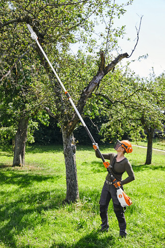 Pole Chainsaw Best Battery Powered Tree Pruner Stihl Best Battery