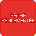 pe_che-re_glemente_e2.png