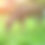 Thumbnail: Custom Mix Food Plot Seed