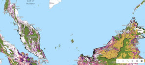 Is DOE’s enforcement strong enough, with over 100,000 deforestation, 329 fire alerts in a week?