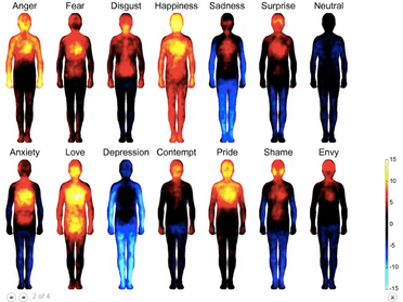 Emotional Biochemistry - Our Bodies Respond to What We Feel...
