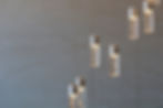 AdobeStock_478645697 (1).jpeg