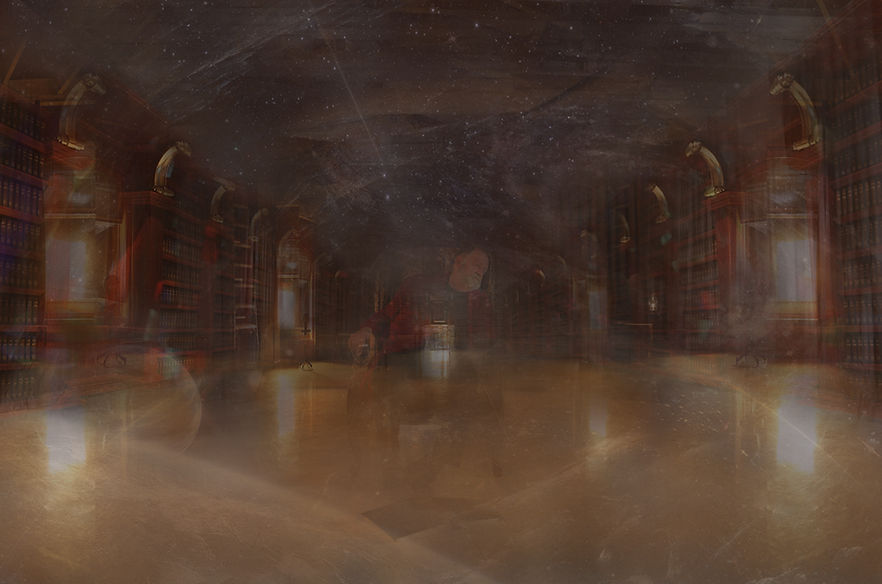 Dany Massicotte, La Bibliothèque, 2019