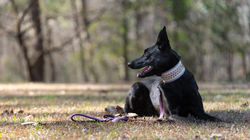 516193870_10162854898991358_2423726776836864936_n (1)