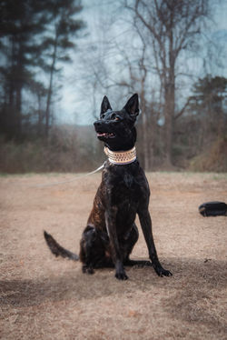 481281026_10162321380176358_7717163296054812051_n