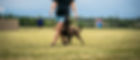 701651692_10164283054851358_1900710236753594506_n_edited.jpg