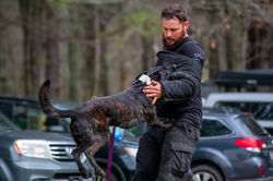 515393085_10162855940016358_8199692184744071187_n