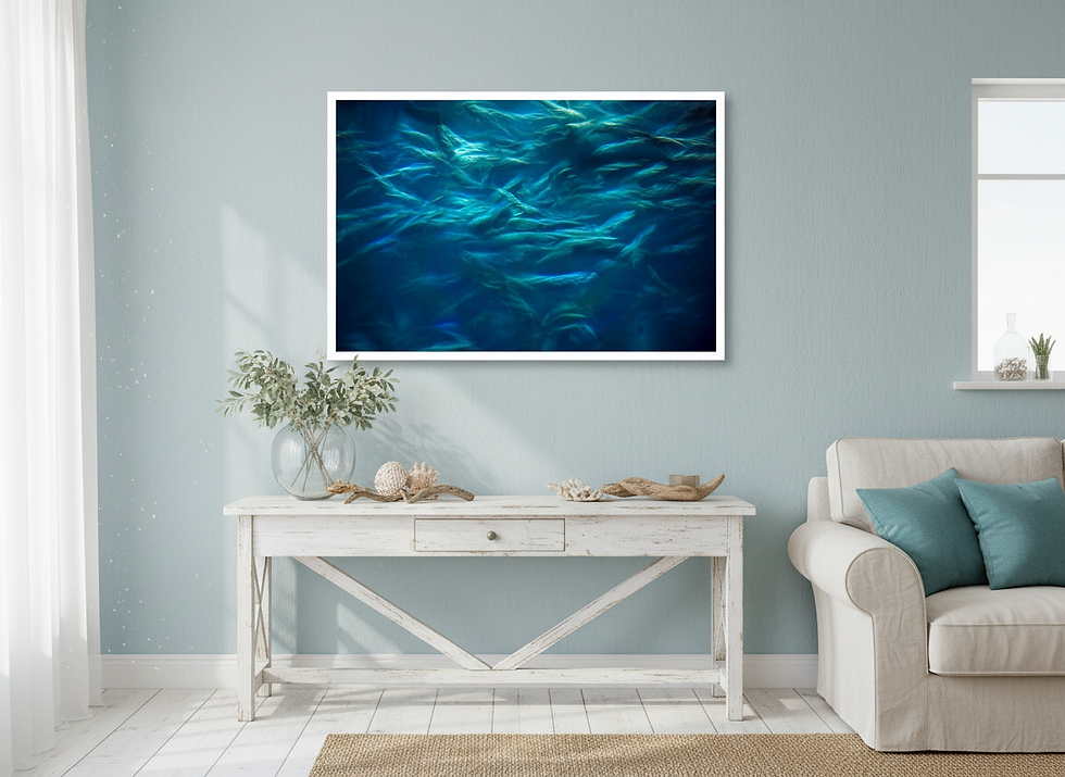 Thumbnail: Frenetic Fish