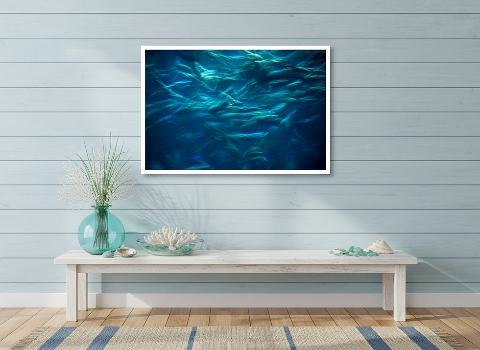 Thumbnail: Frenetic Fish