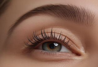 imgi_3_Nahaufnahme des Auges.jpg