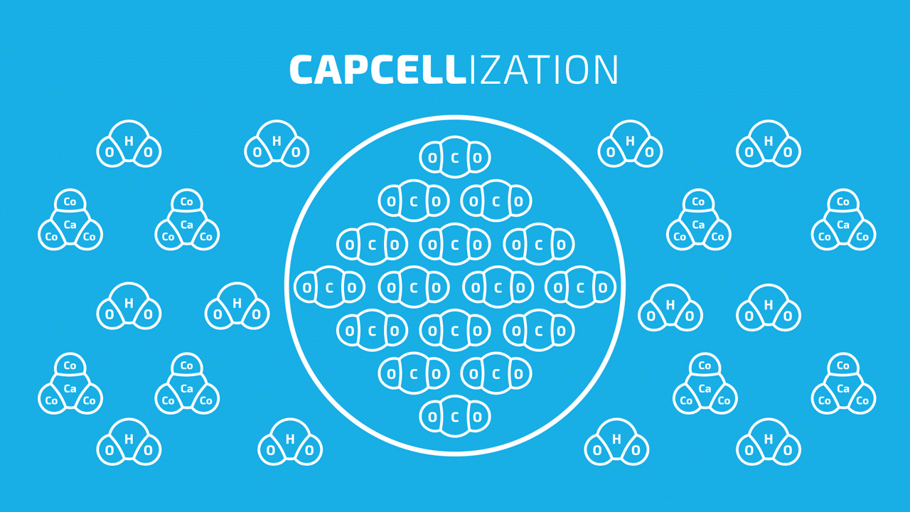 Intro To CapCell® PPT