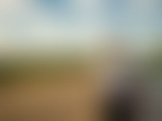 Texas Non-Owner SR22 Insurance Requirements Explained