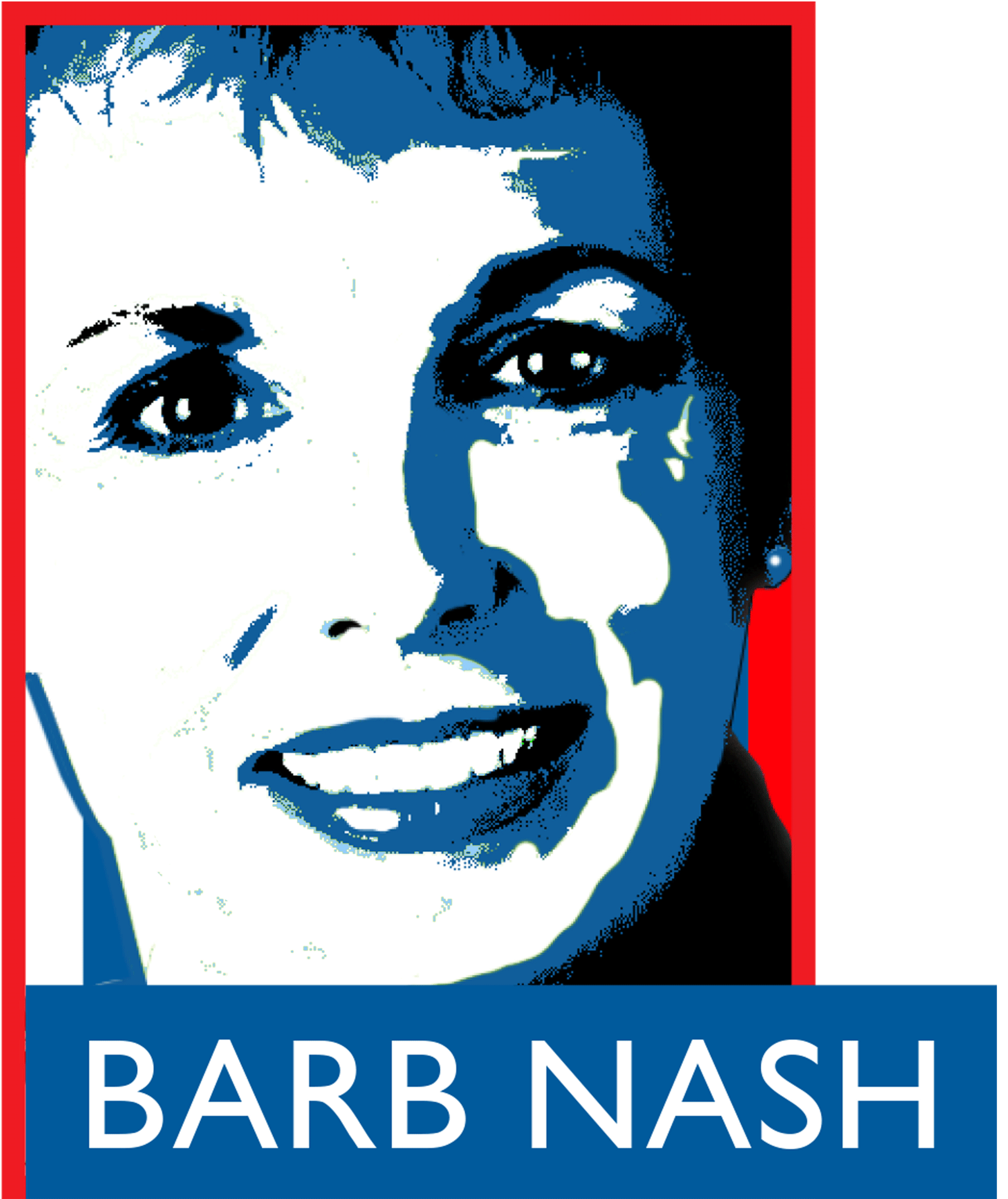 Barb Nash | Democrat | SC House District 124