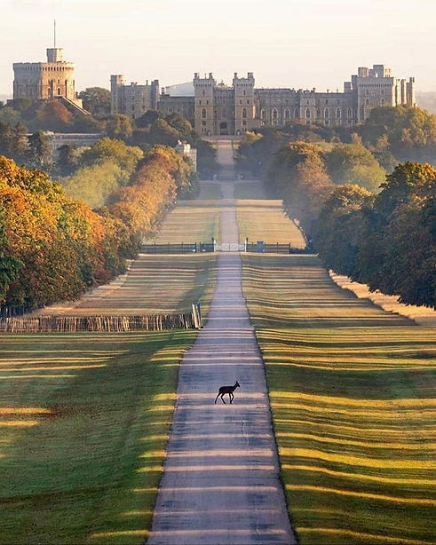 WINDSOR CASTLE, BERKSHIRE, ENGLAND.jpg