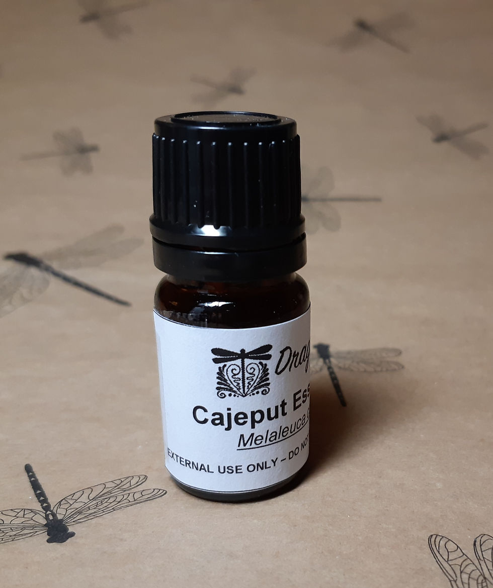 Thumbnail: Cajeput Essential Oil