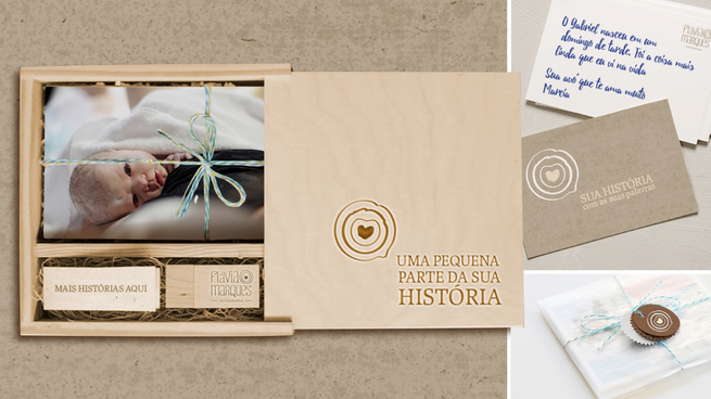 160126_apresentacao_flaviamarques.043.png