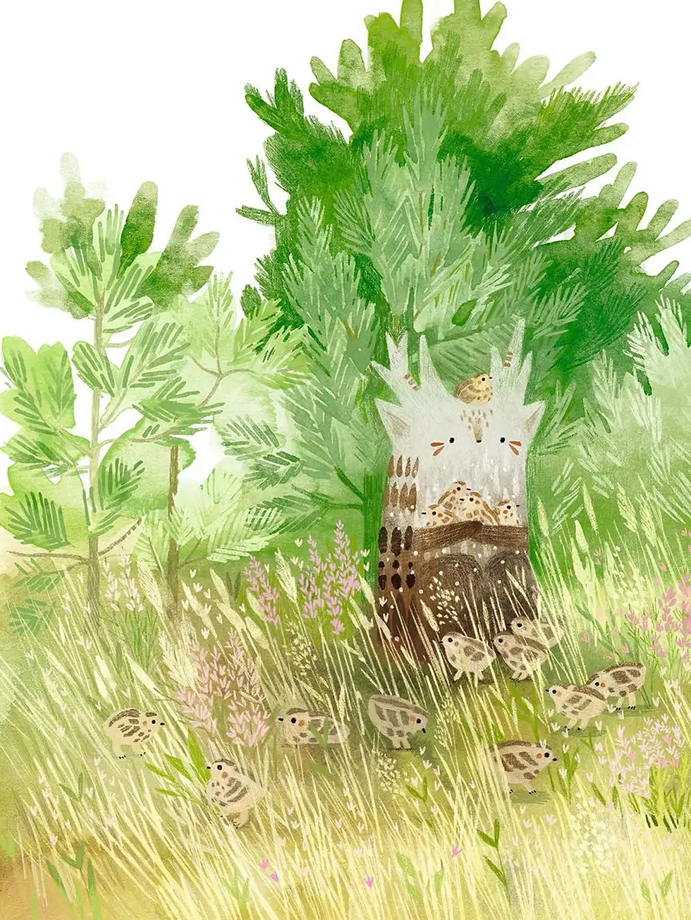 Прев'ю: День народження ялинки